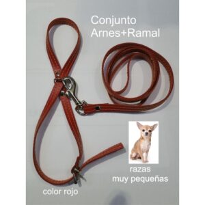 ARNES Y AMARRE CUERO RAZAS PEQUEÑAS. ROJO