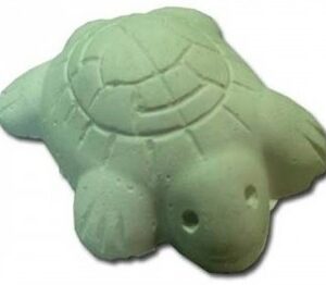 CALCIO TORTUGAS